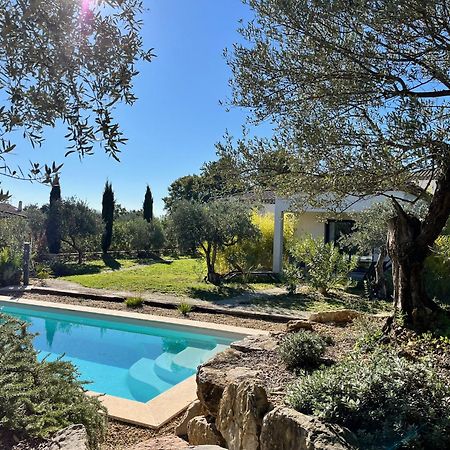 La Villa Aux Oliviers Flayosc Dış mekan fotoğraf