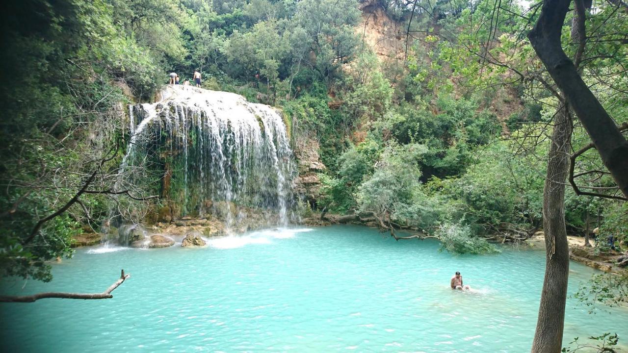 La Villa Aux Oliviers Flayosc Dış mekan fotoğraf